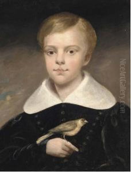 Portrait Of A Boy, Half-length, In A Black Coat, A Bird Perched Onhis Right Hand Oil Painting by Margaret Sarah Carpenter