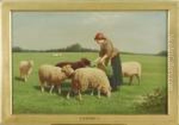 Woman Feeding A Flock Of Sheep In A Pasture Oil Painting by Samuel S. Carr