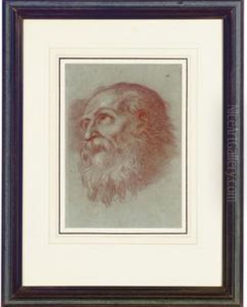 Head Of A Bearded Man Oil Painting by Agostino Carracci