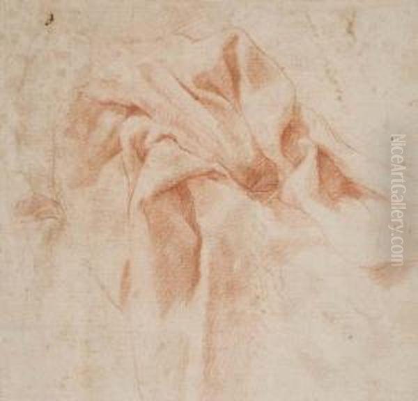 Study Of Drapery Oil Painting by Agostino Carracci