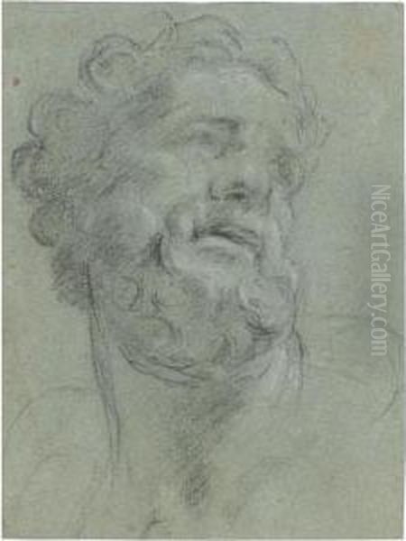 Study Of A Classical Head Oil Painting by Agostino Carracci