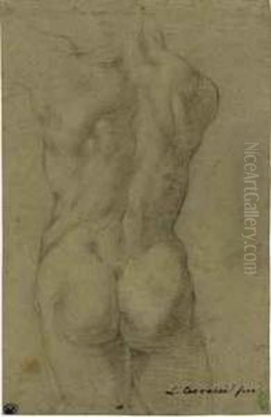 The Torso Of A Male Nude, Seen From Behind Oil Painting by Lodovico Carracci