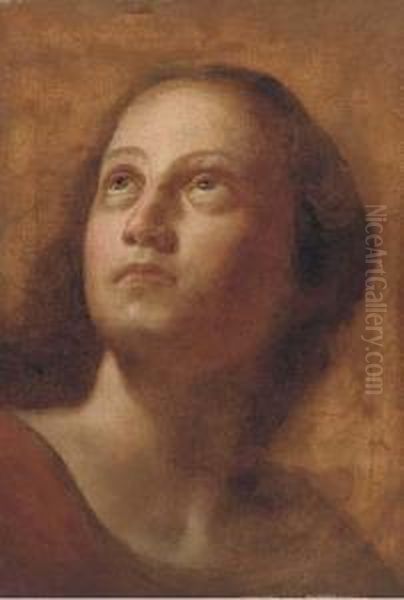 Portrait Of A Girl Oil Painting by Lodovico Carracci