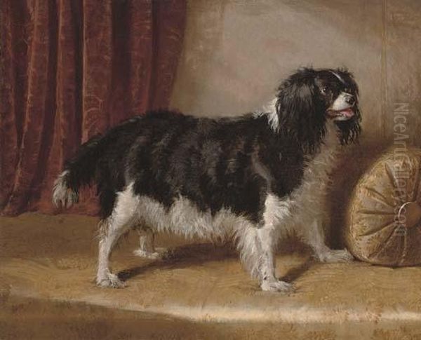 A Spaniel On The Divan Oil Painting by Samuel John Carter