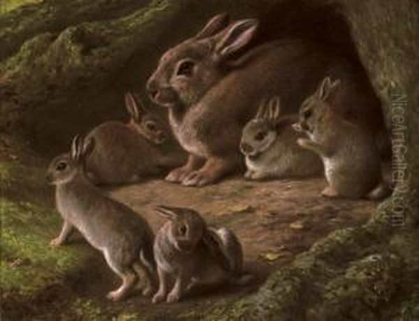 Rabbits In A Wood Oil Painting by Samuel John Carter