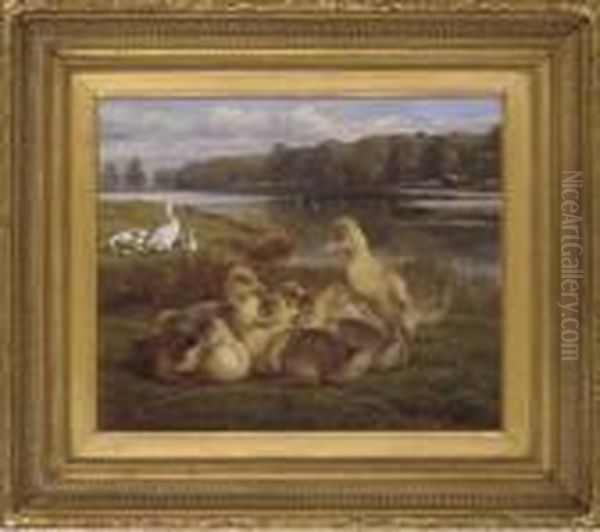 Ducklings On A River Bank by Samuel John Carter