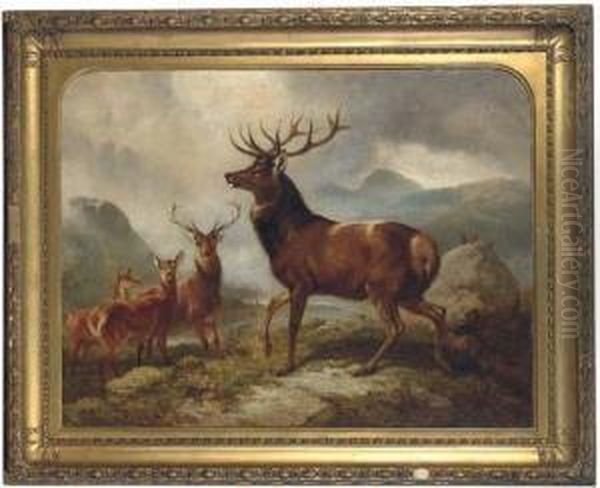 A Proud Stag Oil Painting by Samuel John Carter