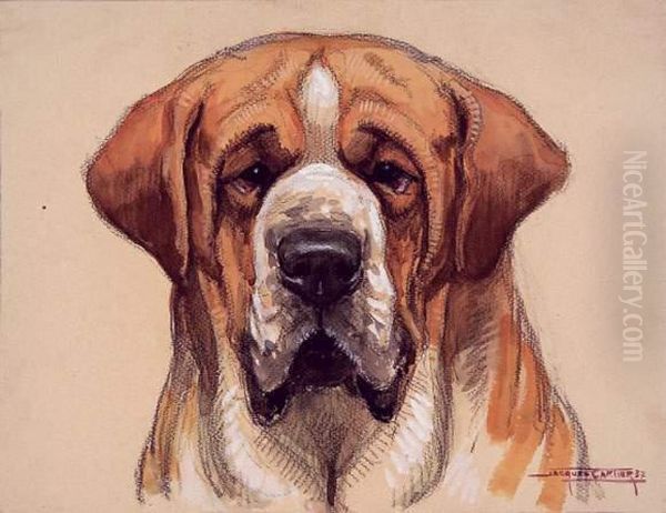 Tete De Saint-bernard Oil Painting by Eugene Cartier