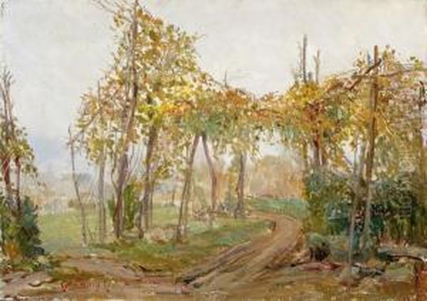 Viale In Campagna Oil Painting by Carlo Casanova