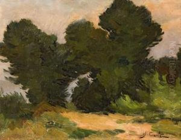 Chemin En Provence. Oil Painting by Alfred Casile