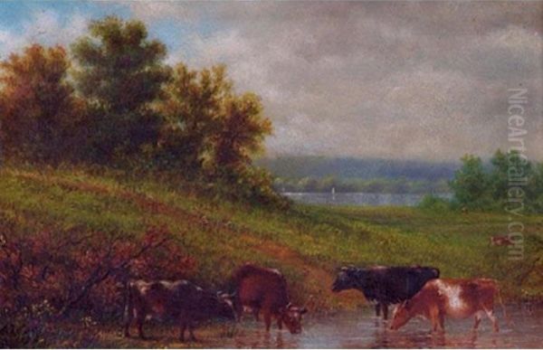 Cows In A Landscape Oil Painting by John William Casilear