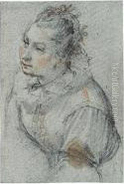 Half-length Study Of A Woman Oil Painting by Alessandro Casolani