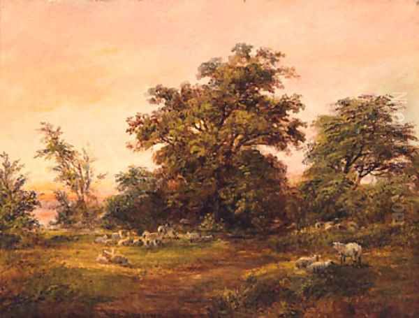 Sheep grazing at the Edge of a Copse Oil Painting by Robert Burrows