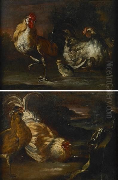 A Cockerel, Chicken And Chicks In A Landscape Oil Painting by Giovanni Agostino Cassana