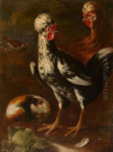 Chickens And Guinea Pig Oil Painting by Giovanni Agostino Cassana