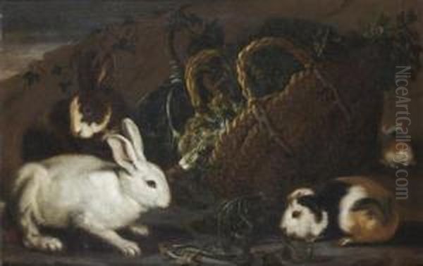 Lapins Et Cochons D'inde Autour D'un Panier D'herbes Oil Painting by Giovanni Agostino Cassana