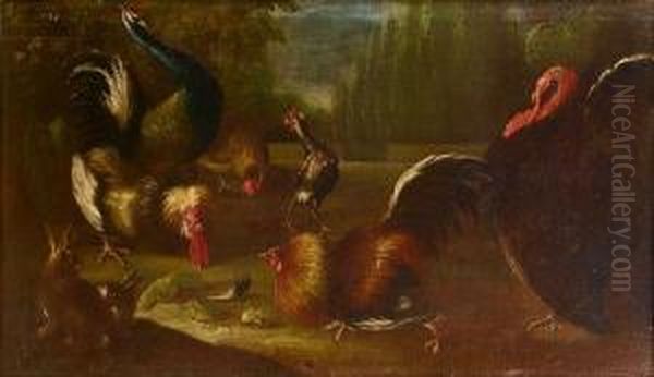 A Turkey, Peacock And Cockerels With A Rabbit In A Landscape Oil Painting by Giovanni Agostino Cassana