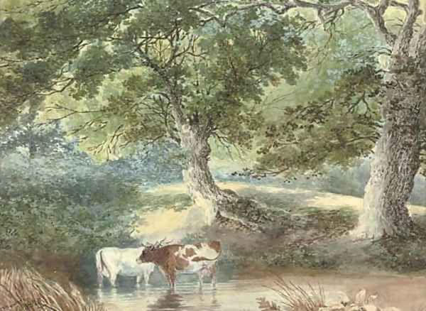 Cattle watering Oil Painting by Stephen J. Bowers