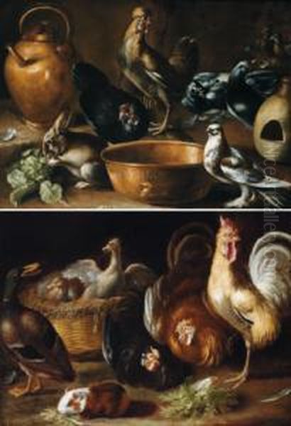 Due Nature Morte Con Galli Ed Altri Animali Oil Painting by Giovanni Agostino Cassana