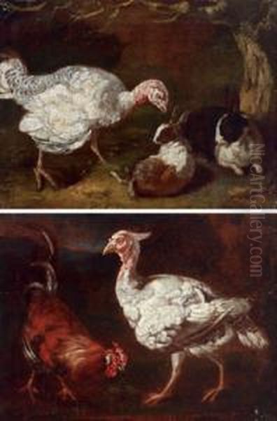 Bottega Una Tacchina Con Due Conigli; Un Gallo Con Una Tacchina Oil Painting by Giovanni Agostino Cassana