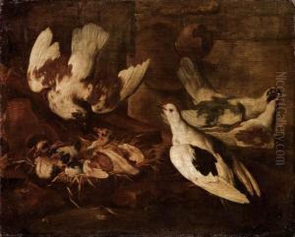 Piccionaia Oil Painting by Giovanni Agostino Cassana