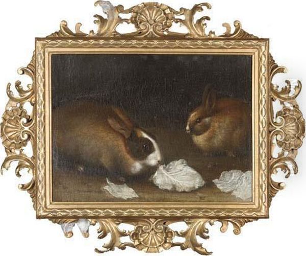 Two Rabbits With Lettuce Leaves Oil Painting by Giovanni Agostino Cassana