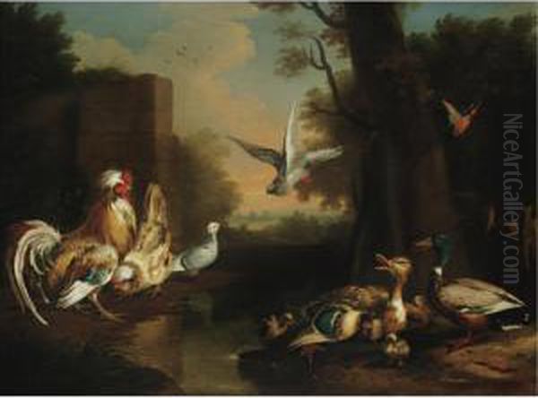 A Rooster, Hen, Ducks And Other Birds In A Landscape Oil Painting by Pieter Casteels