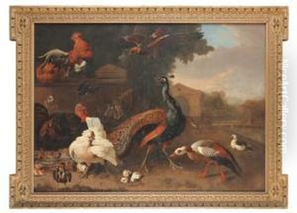 Ornamental Fowl By A Pool Oil Painting by Pieter Casteels