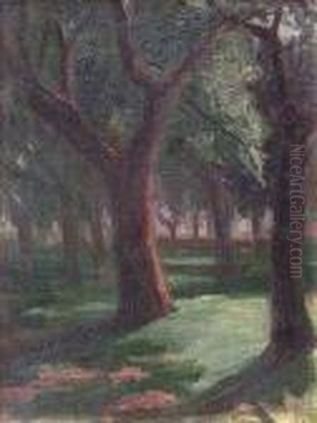 Parque Oil Painting by Carlos Alberto Castellanos