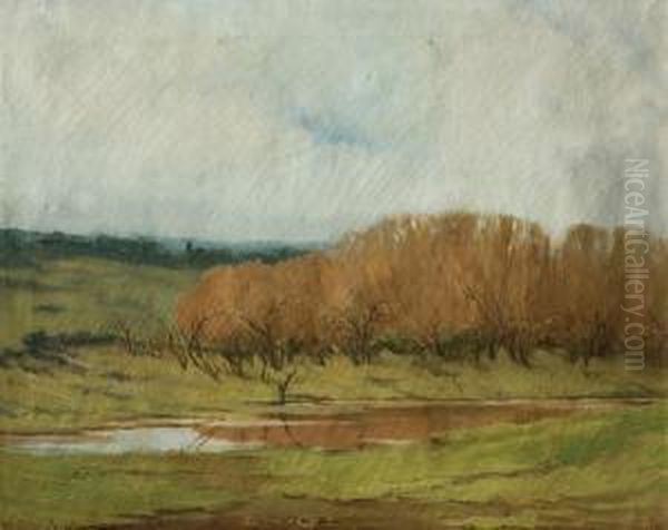 Paisaje De Campo Oil Painting by Roberto Castellanos Mane