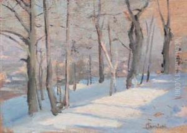 Paesaggio Invernale Oil Painting by Ludovico Cavaleri