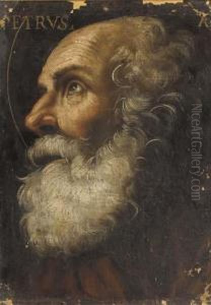 Saint Peter Oil Painting by Giacomo Cavedone