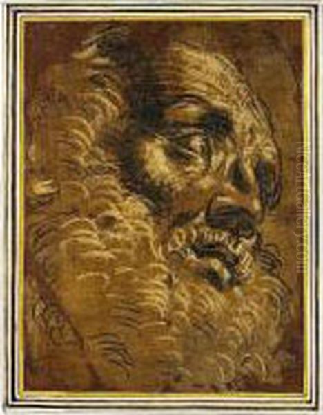 The Head Of A Bearded Man Oil Painting by Giacomo Cavedone