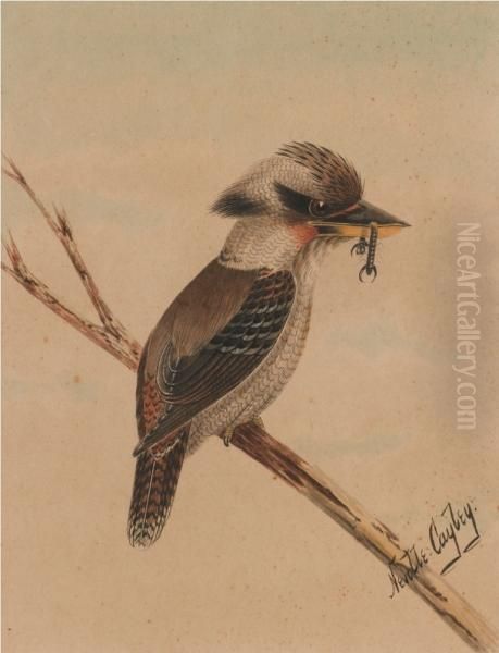 Kookaburra And Kingfisher Oil Painting by Neville, Will. Cayley Jnr.