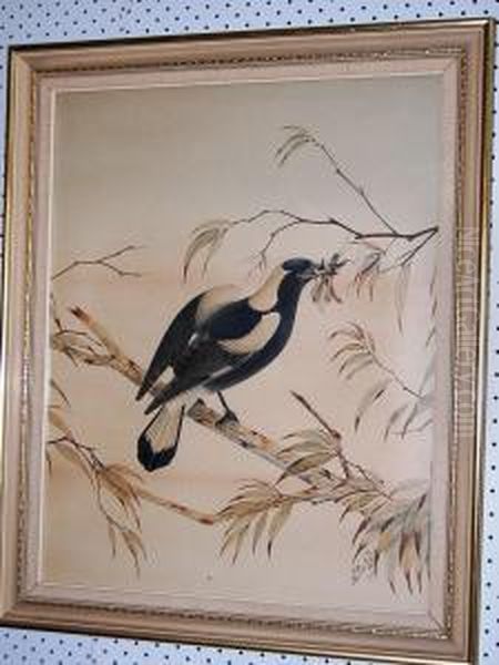 Magpie And Grasshopper On A Branch Oil Painting by Neville Henry P. Cayley