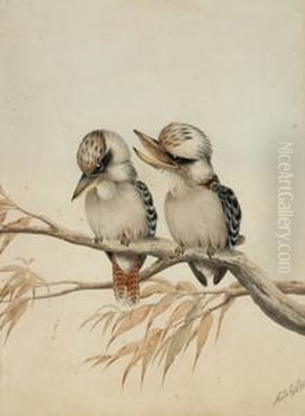 Snr Two Kookaburras Oil Painting by Neville Henry P. Cayley