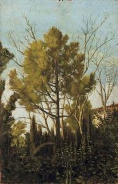 Il Bosco Oil Painting by Eugenio Cecconi