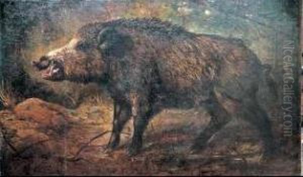 Il Cinghiale Oil Painting by Eugenio Cecconi