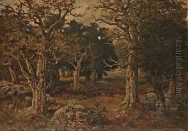 Dans Les Gorges D'apremont Oil Painting by Charles Ferdinand Ceramano