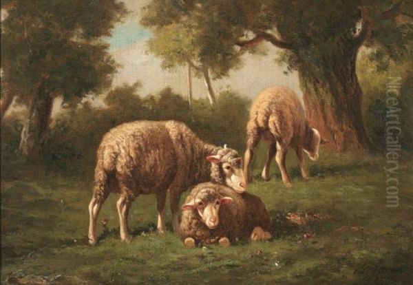 Moutons Au Paturage Oil Painting by Charles Ferdinand Ceramano