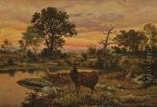 Cerf Pres De La Mare Belle Croix Oil Painting by Charles Ferdinand Ceramano