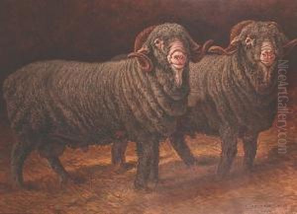 Prize Merino Rams Oil Painting by Charles Ferdinand Ceramano