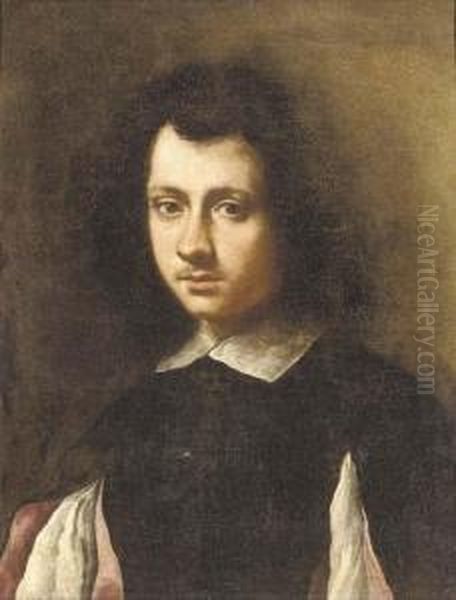 Portrait Of A Young Man, 
Bust-length, In A Black Doublet With Slashed Sleeves And A White Collar Oil Painting by Carlo Ceresa