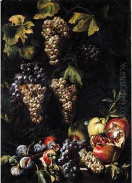 Still Life With Bunches Of Grapes On A Vine, An Open Pomegranate, Apples And Figs Oil Painting by Michelangelo Cerqouzzi