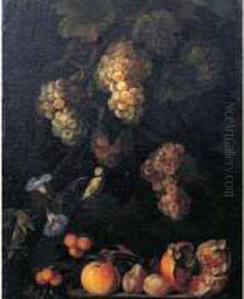 Nature Morte De Raisins, Grenades, Fraises Oil Painting by Michelangelo Cerqouzzi