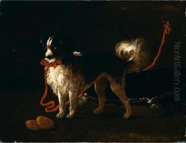 Ritratto Di Spaniel Con Collare Rosso Oil Painting by Giacomo Ceruti (Il Pitocchetto)