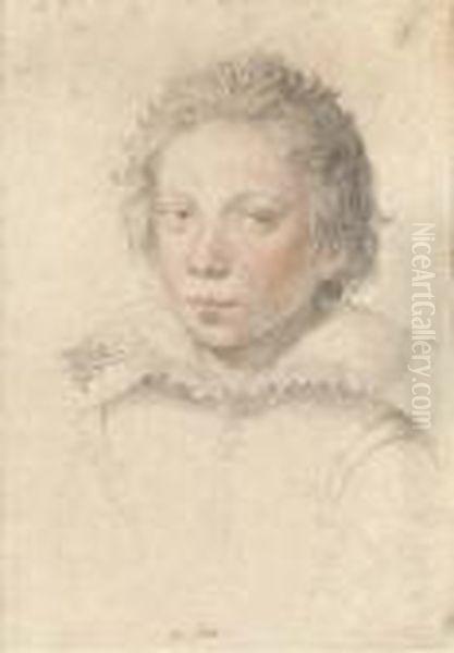 Portrait Of A Boy, Bust-length, Wearing A Lace Collar Oil Painting by Giuseppe Cesari