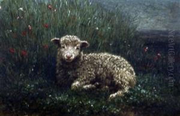 Lamb In A Poppy Field Oil Painting by Jean-Ferdinand Chaigneau