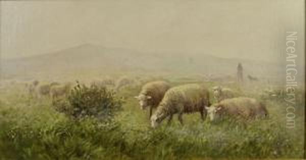 Les Moutons Oil Painting by Jean-Ferdinand Chaigneau