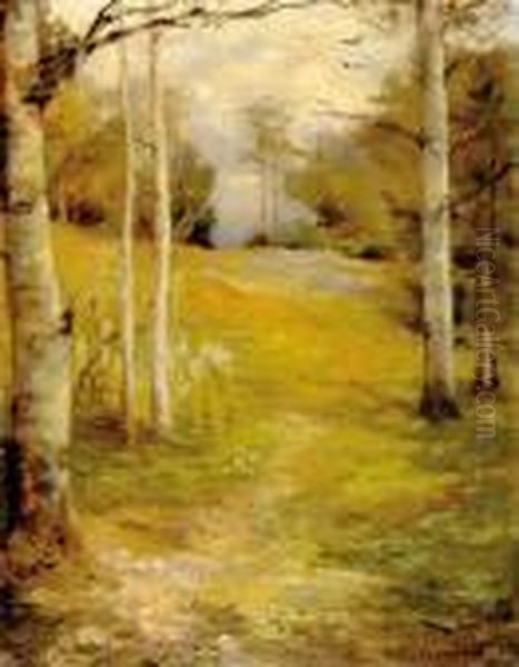 Birch Along Oil Painting by Hector Chalmers